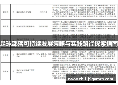 足球部落可持续发展策略与实践路径探索指南